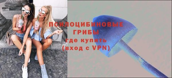 СК Абаза