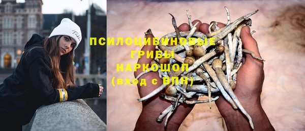 СК Абаза